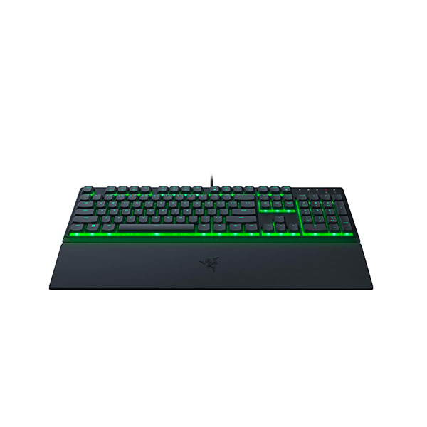 Ornata v3 X 3
